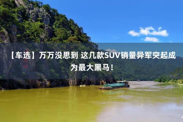 【车选】万万没思到 这几款SUV销量异军突起成为最大黑马！