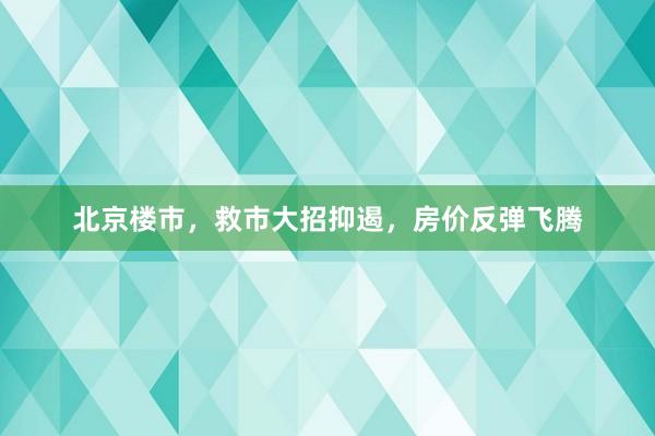 北京楼市，救市大招抑遏，房价反弹飞腾