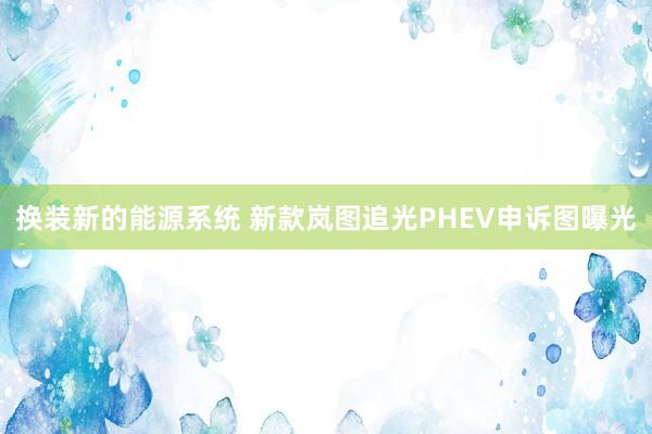 换装新的能源系统 新款岚图追光PHEV申诉图曝光