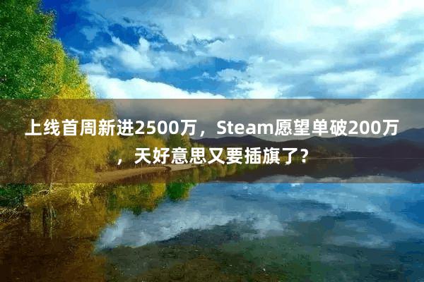 上线首周新进2500万，Steam愿望单破200万，天好意思又要插旗了？