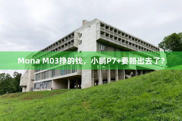 Mona M03挣的钱，小鹏P7+要赔出去了？