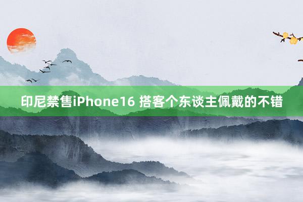 印尼禁售iPhone16 搭客个东谈主佩戴的不错