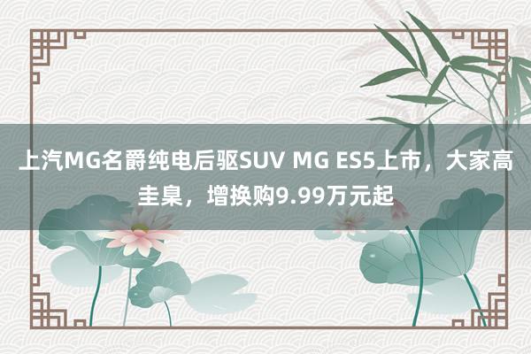 上汽MG名爵纯电后驱SUV MG ES5上市，大家高圭臬，增换购9.99万元起