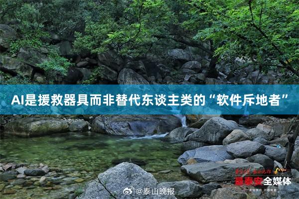 AI是援救器具而非替代东谈主类的“软件斥地者”