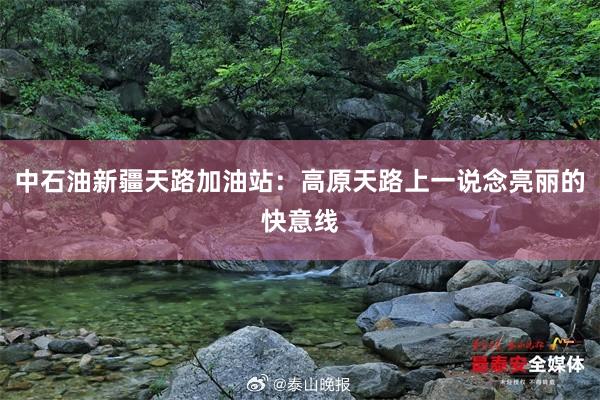 中石油新疆天路加油站：高原天路上一说念亮丽的快意线