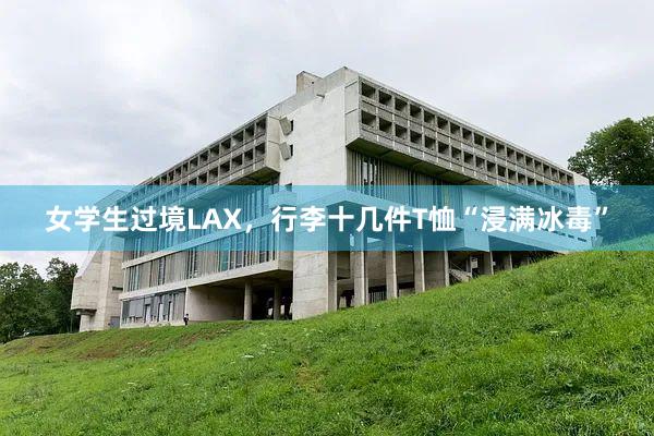 女学生过境LAX，行李十几件T恤“浸满冰毒”