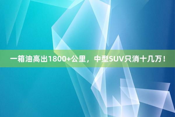 一箱油高出1800+公里，中型SUV只消十几万！